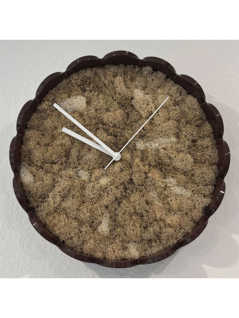 12" Wall Clock Preserved Moss